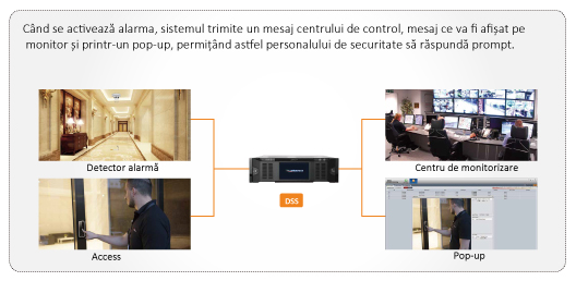 sisteme interconectate