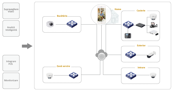 structura sistemului